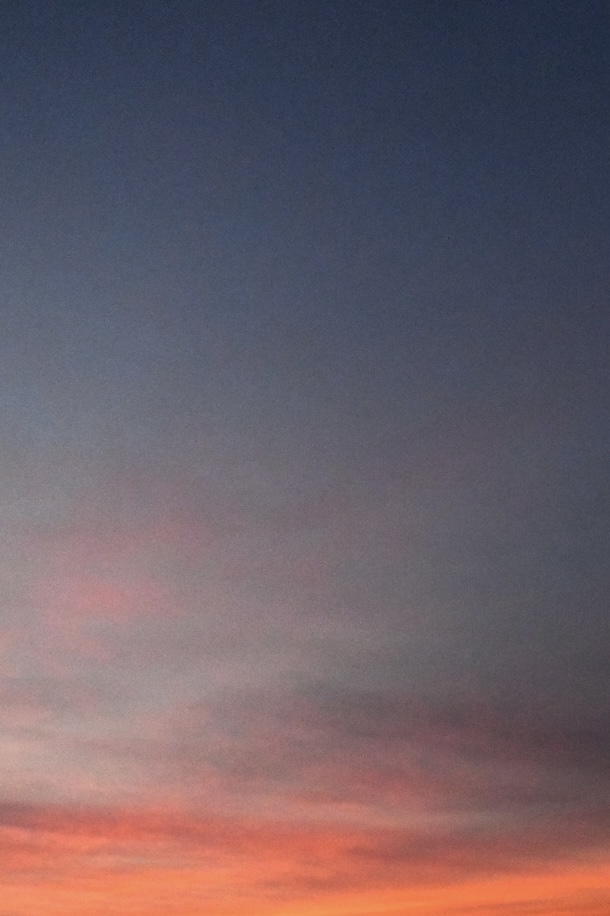 六甲山　本能を大切にする気持ち