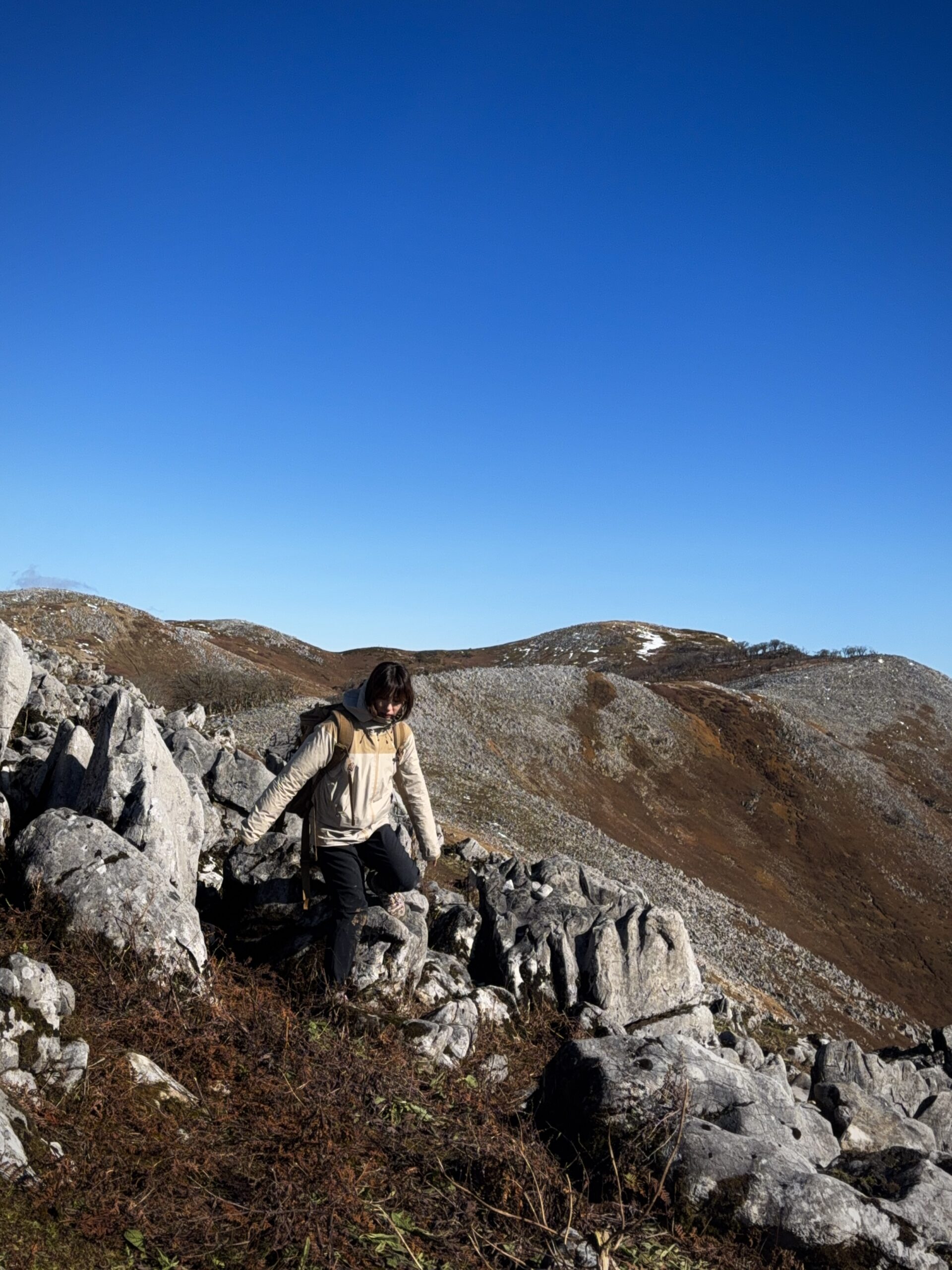 霊仙山 惑星のような異世界