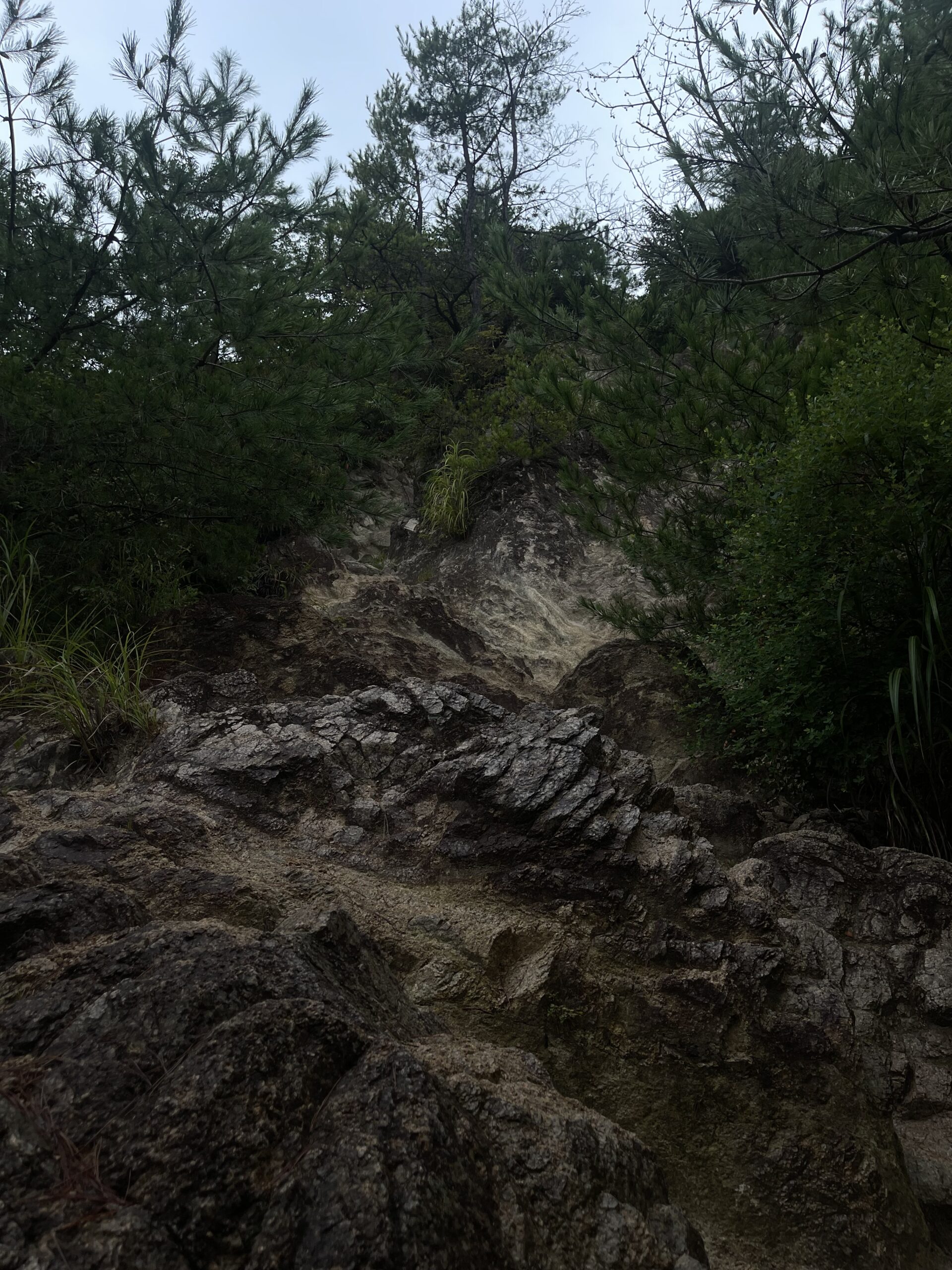 六甲山 初ソロ登山
